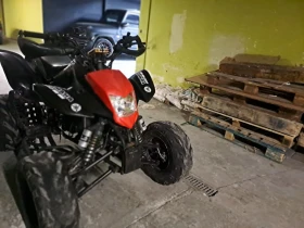 Bashan BS 300 куб, снимка 6