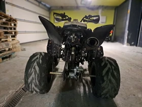 Bashan BS 300 куб, снимка 4