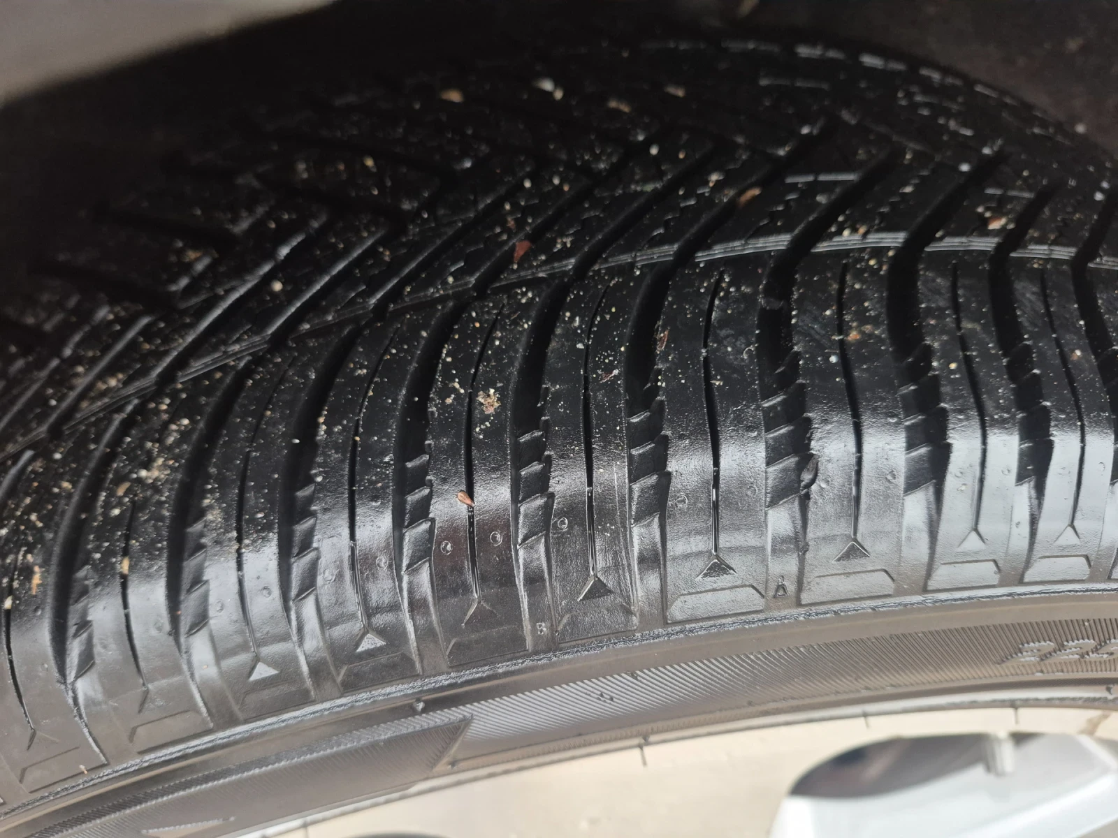 Skoda Octavia  4+ 4   | Mobile.bg   15