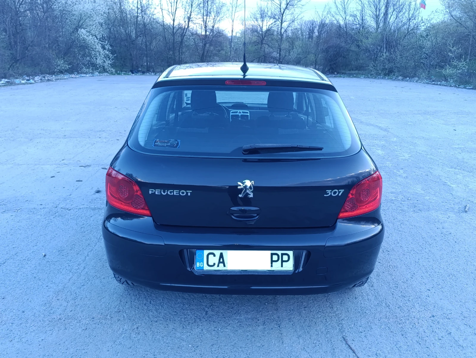 Peugeot 307 1.6i, снимка 5 - Автомобили и джипове - 55915334