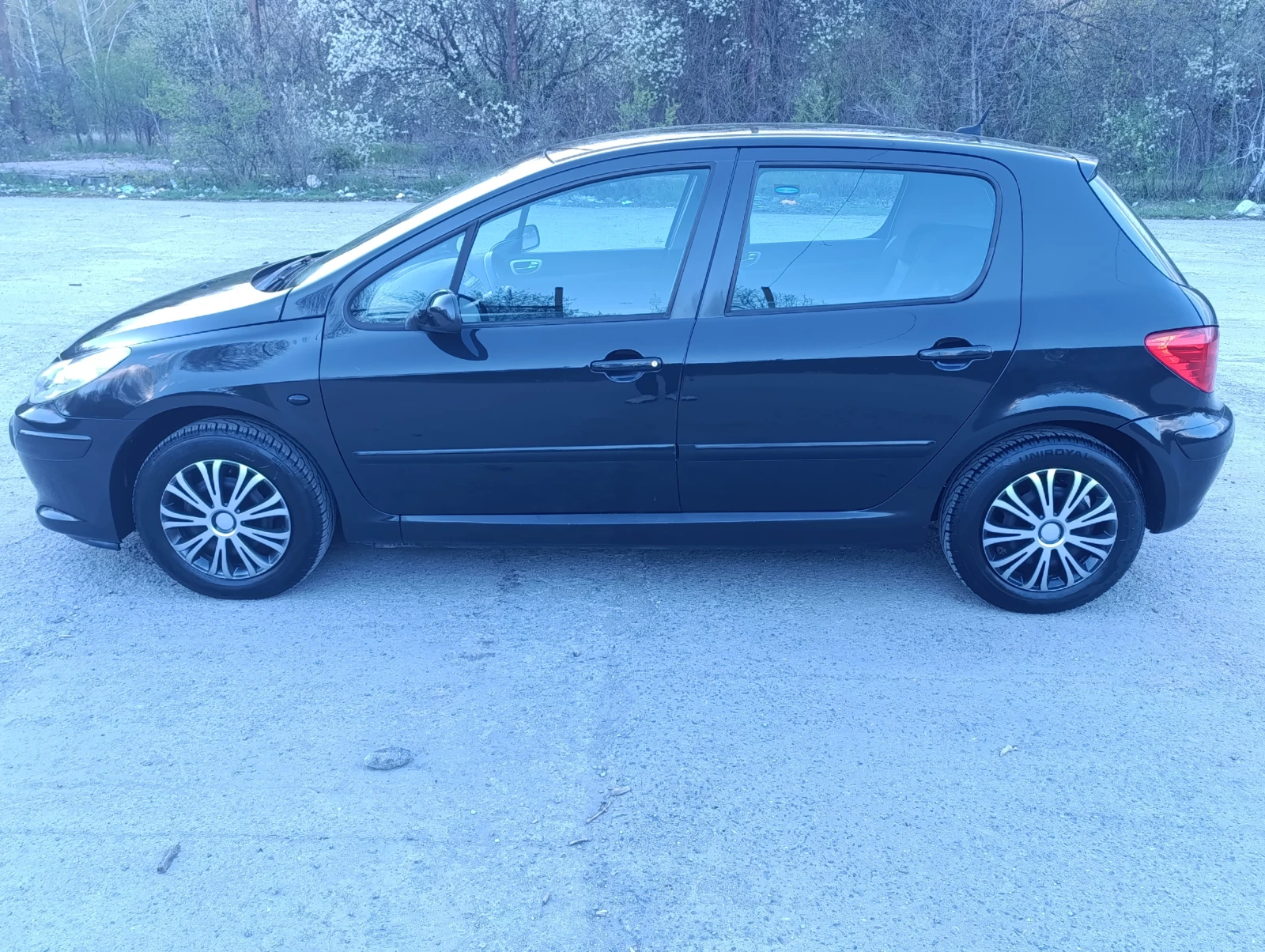 Peugeot 307 1.6i, снимка 7 - Автомобили и джипове - 55915334