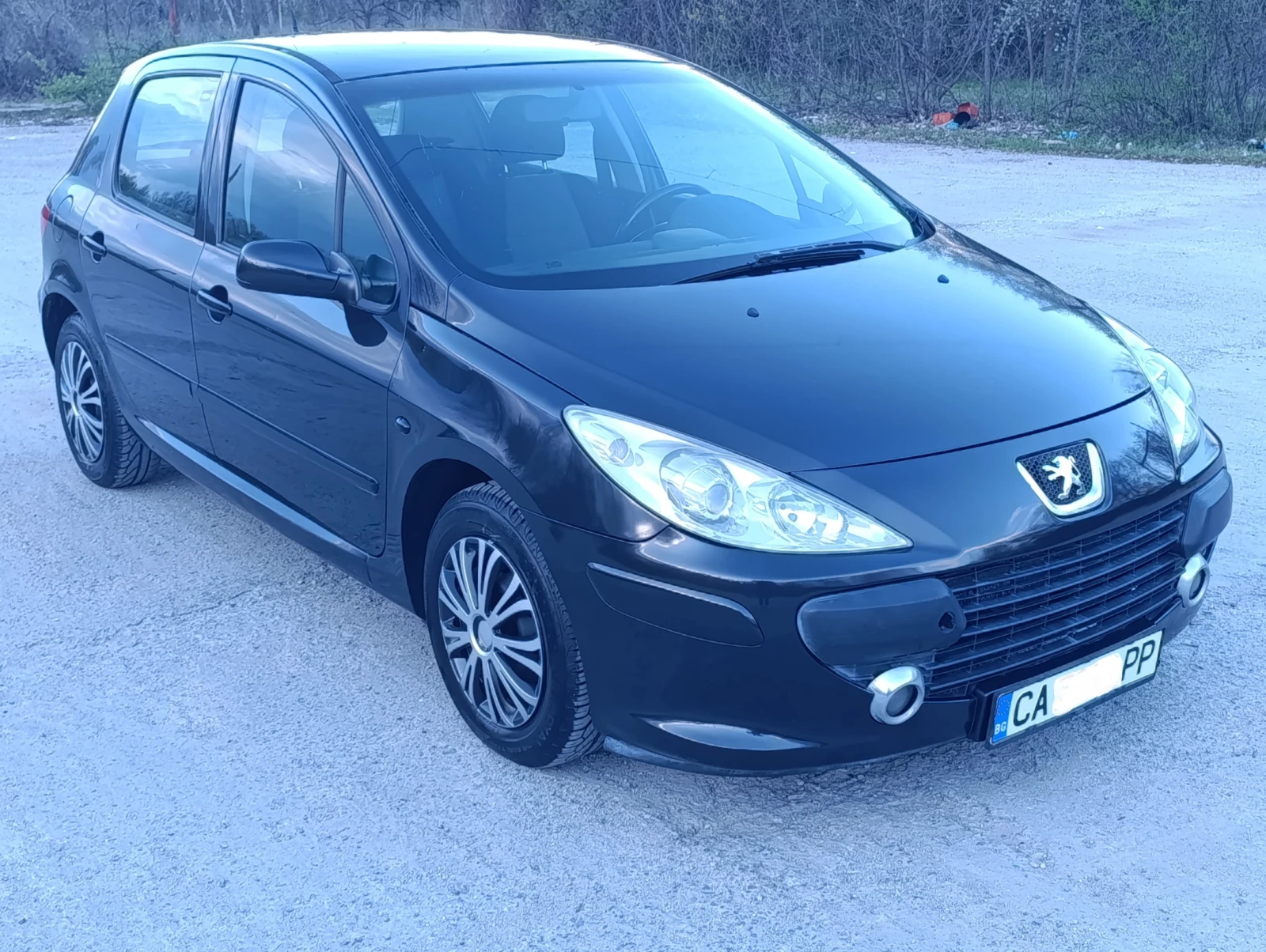 Peugeot 307 1.6i