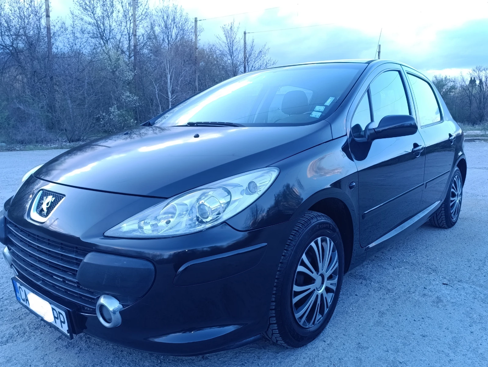 Peugeot 307 1.6i, снимка 2 - Автомобили и джипове - 55915334