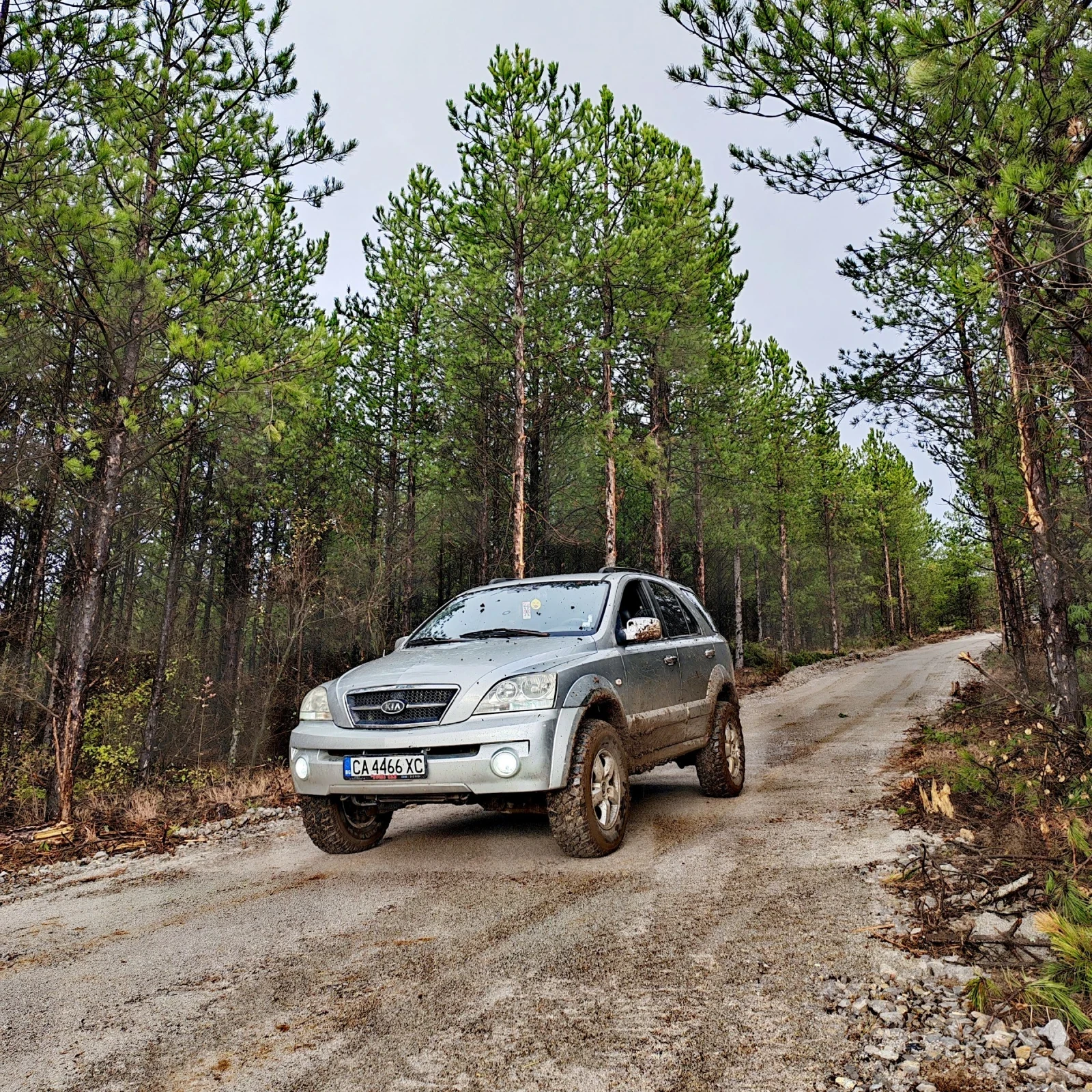 Kia Sorento | Mobile.bg   1