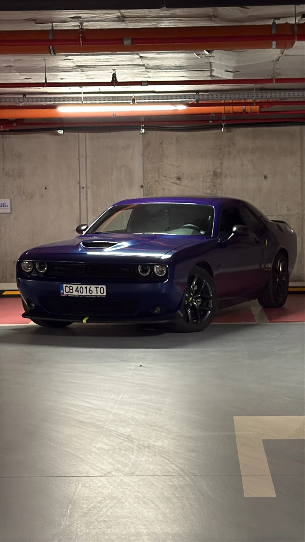 Dodge Challenger R/T Last Call Edition - изображение 2