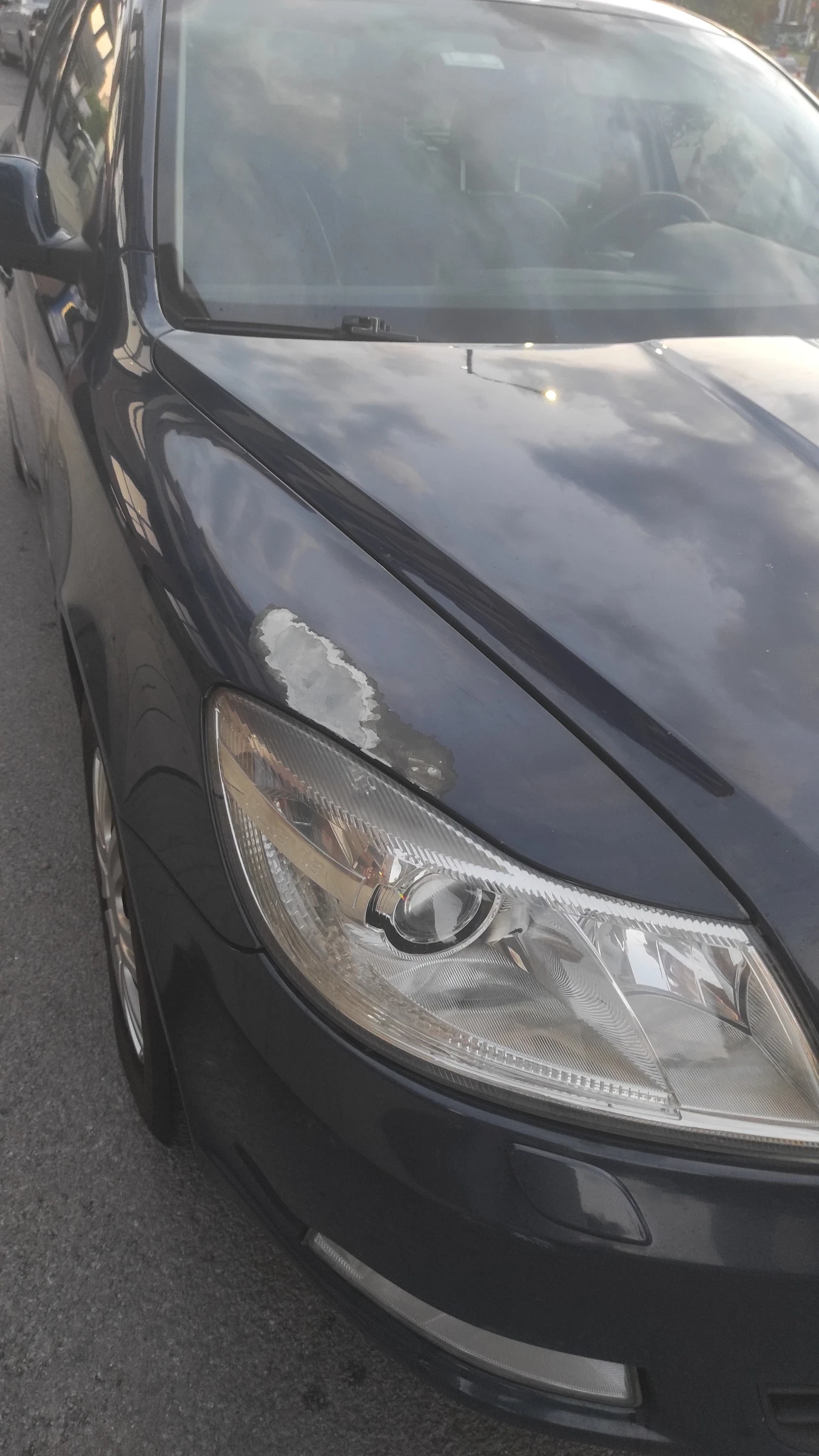 Skoda Octavia combi, снимка 5 - Автомобили и джипове - 54803982
