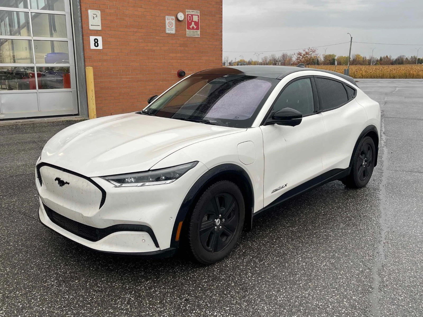 Ford Mustang Mach-E California Route 1 CARFAX    | Mobile.bg   1