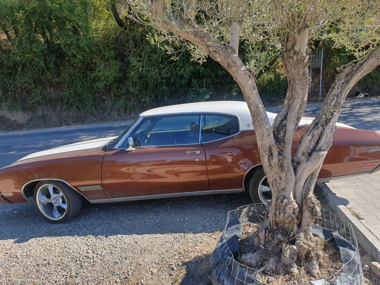Buick Skylark V8 - изображение 4
