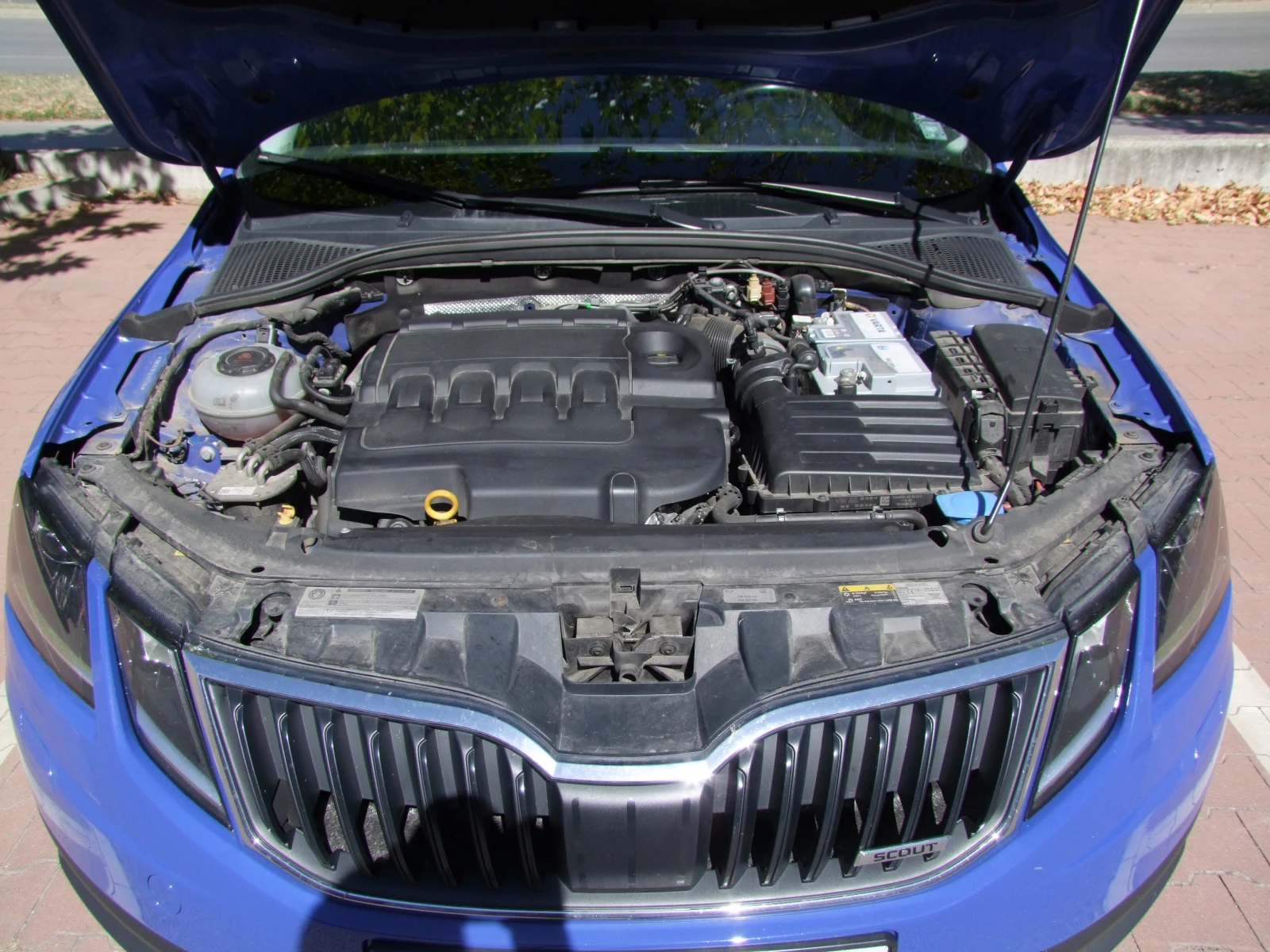 Skoda Octavia 4x4 Scout | Mobile.bg   14