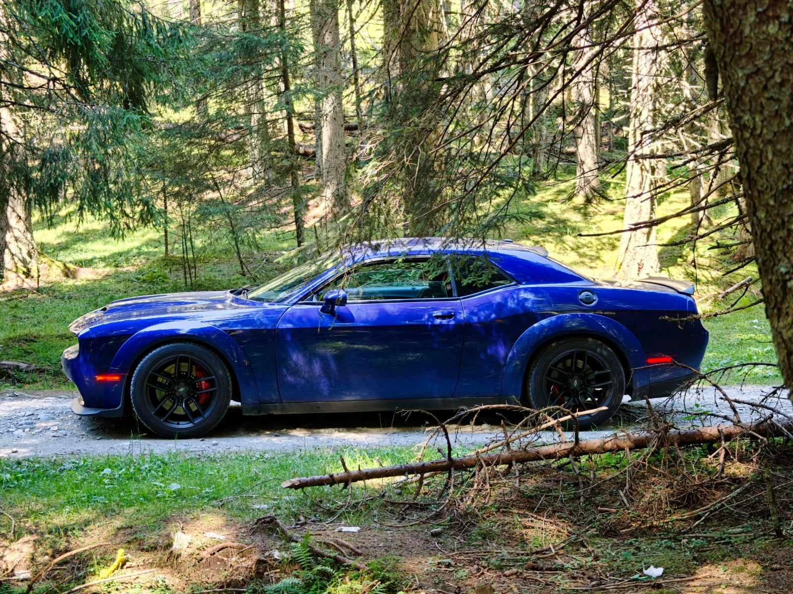 Dodge Challenger 5.7 R/T Brembo, LSD, снимка 6 - Автомобили и джипове - 55642686