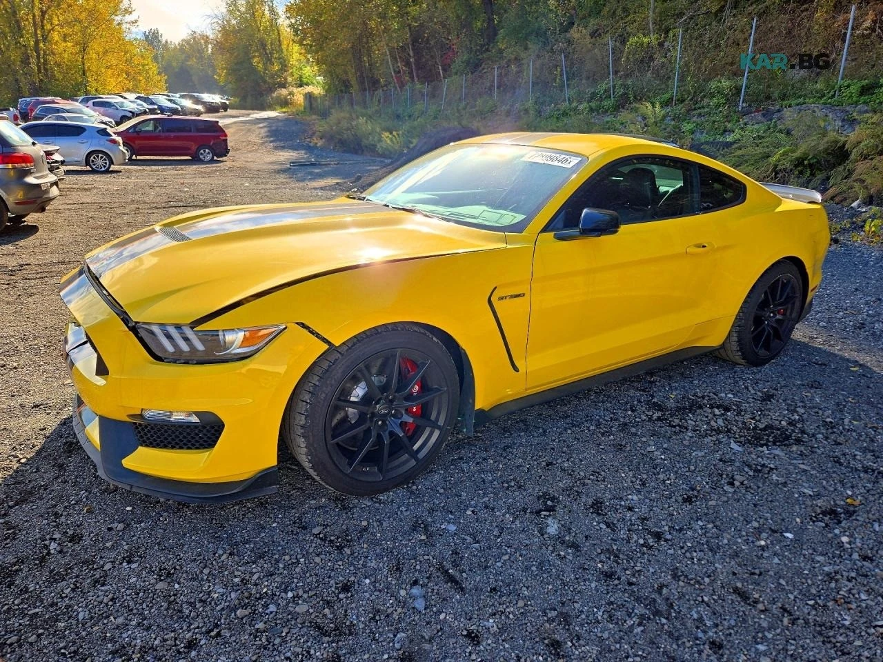 Ford Mustang SHELBY GT350* 