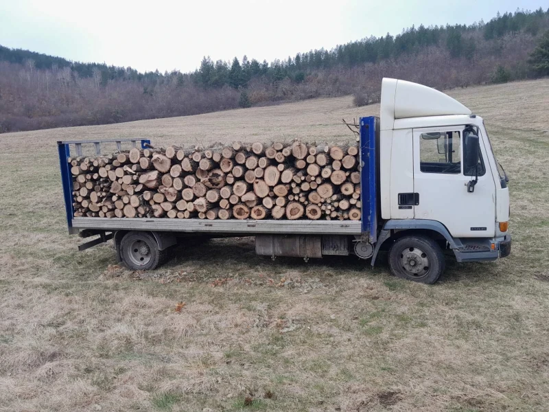 Daf 45.150, снимка 4 - Камиони - 53404380