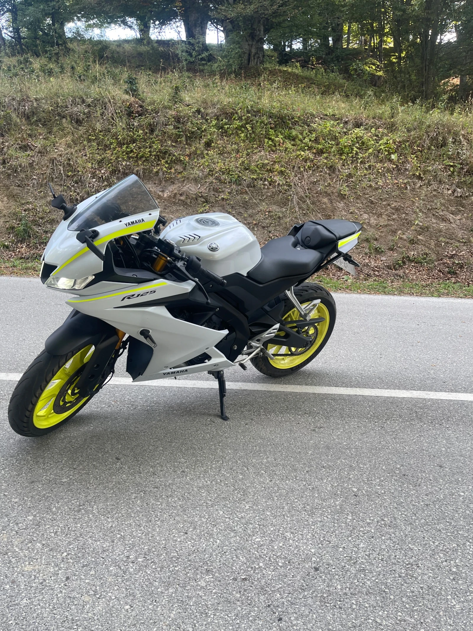 Yamaha Yzf  - изображение 3