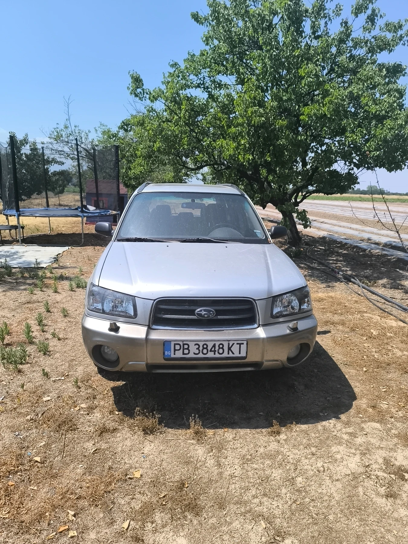 Subaru Forester  - изображение 7
