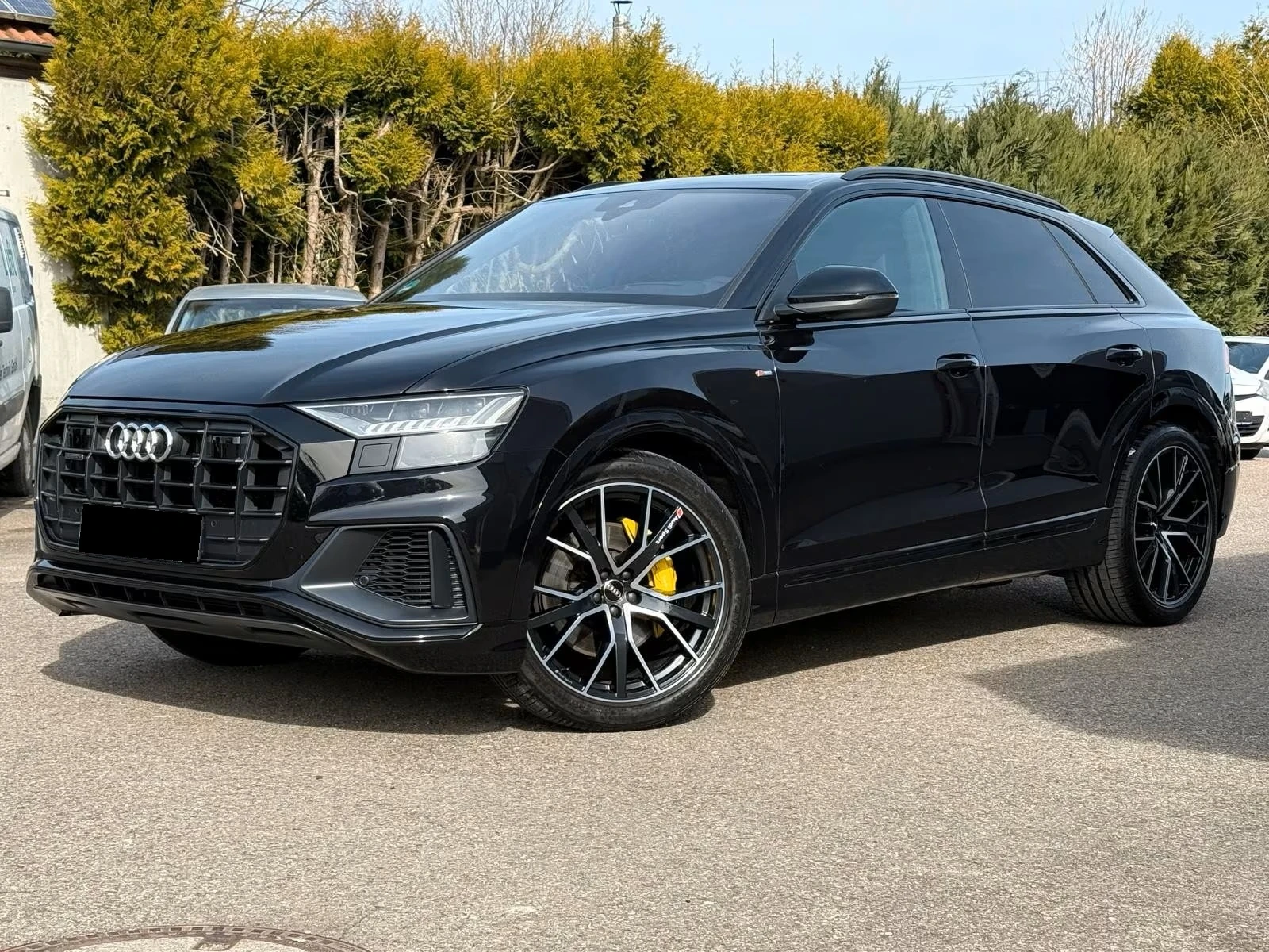 Audi Q8 50TDI Quattro S-Line - изображение 2