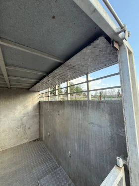 Iveco 35c13 Животновоз Уникат Facelift | Auto.bg — изображение 11