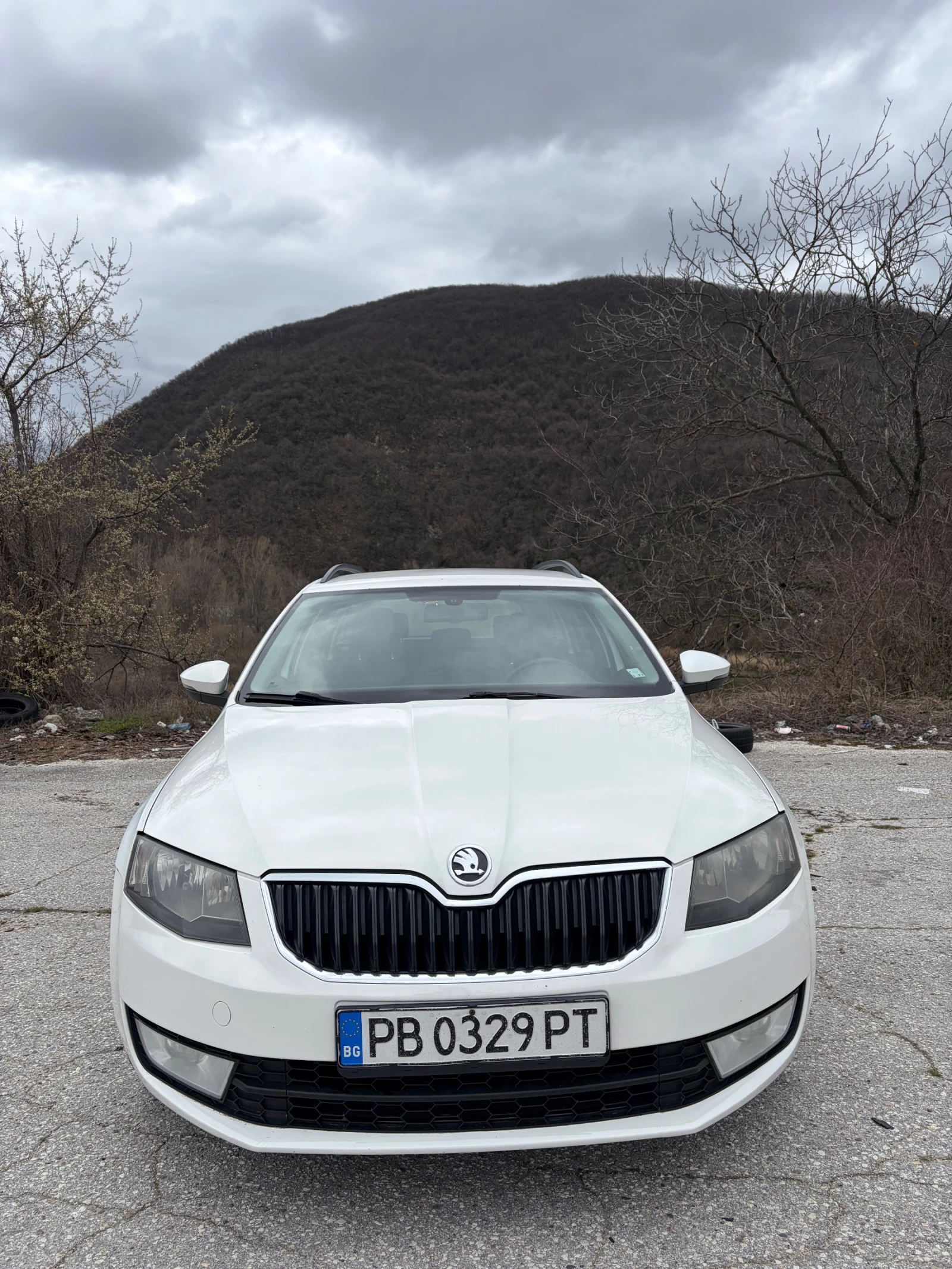 Skoda Octavia 2.0 TDI | Auto.bg — изображение 1