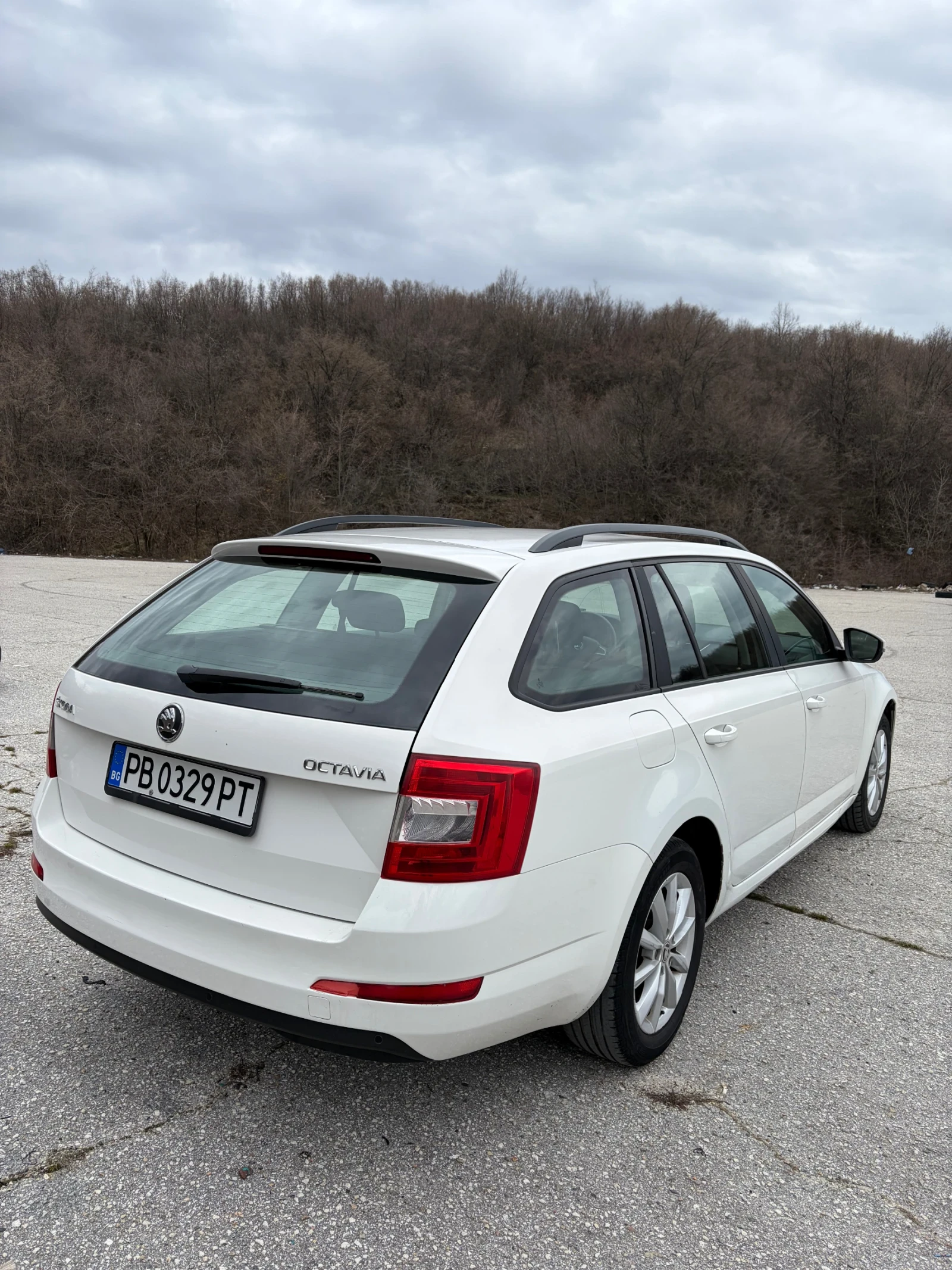 Skoda Octavia 2.0 TDI, снимка 3 - Автомобили и джипове - 53948890
