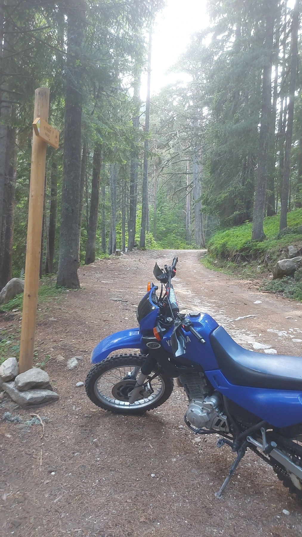Yamaha Xt  - изображение 5