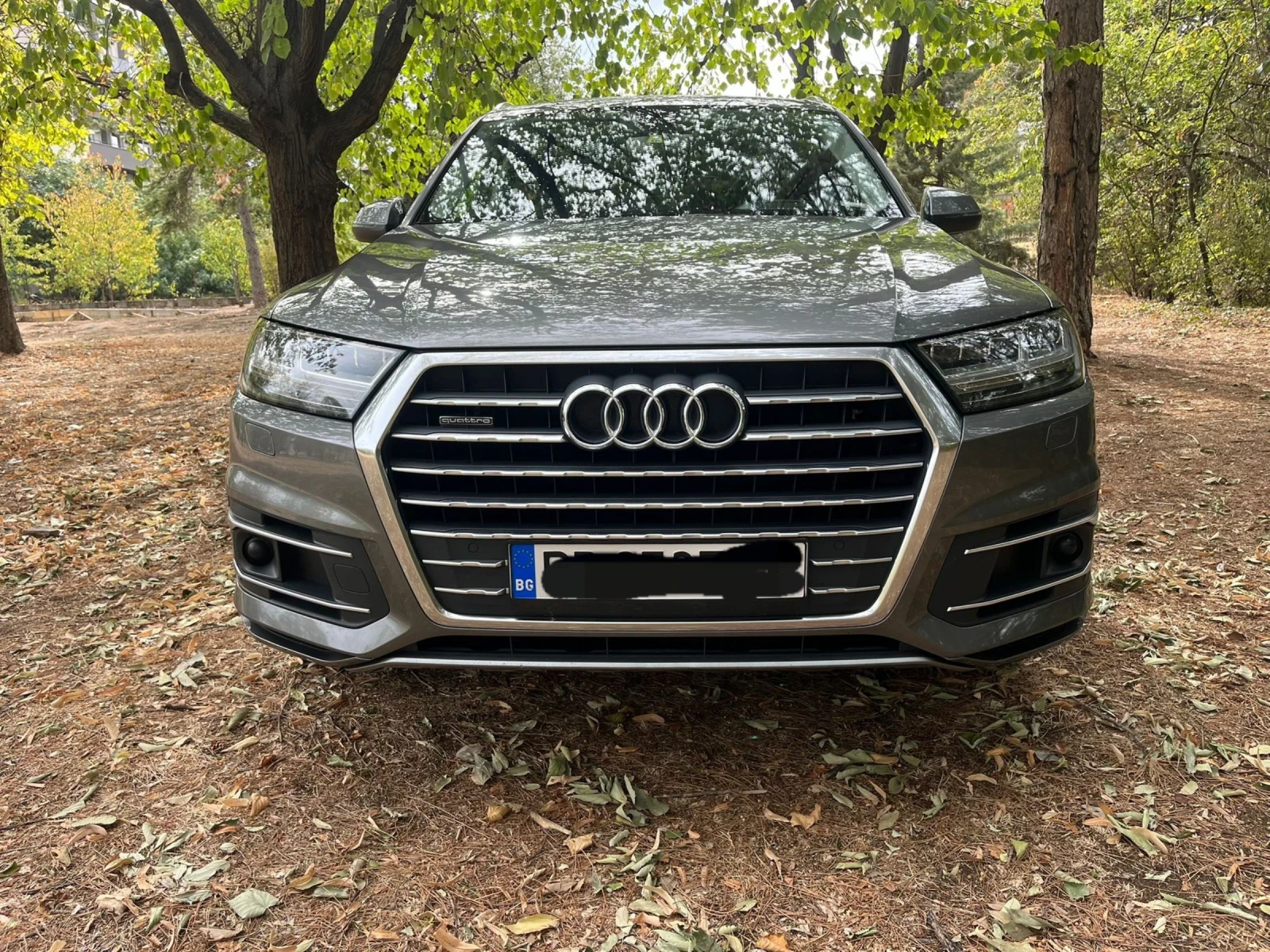 Audi Q7 3.0Tdi Quattro, снимка 2 - Автомобили и джипове - 53830971