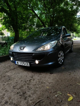  Peugeot 307