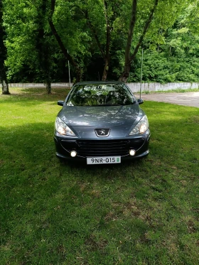  Peugeot 307