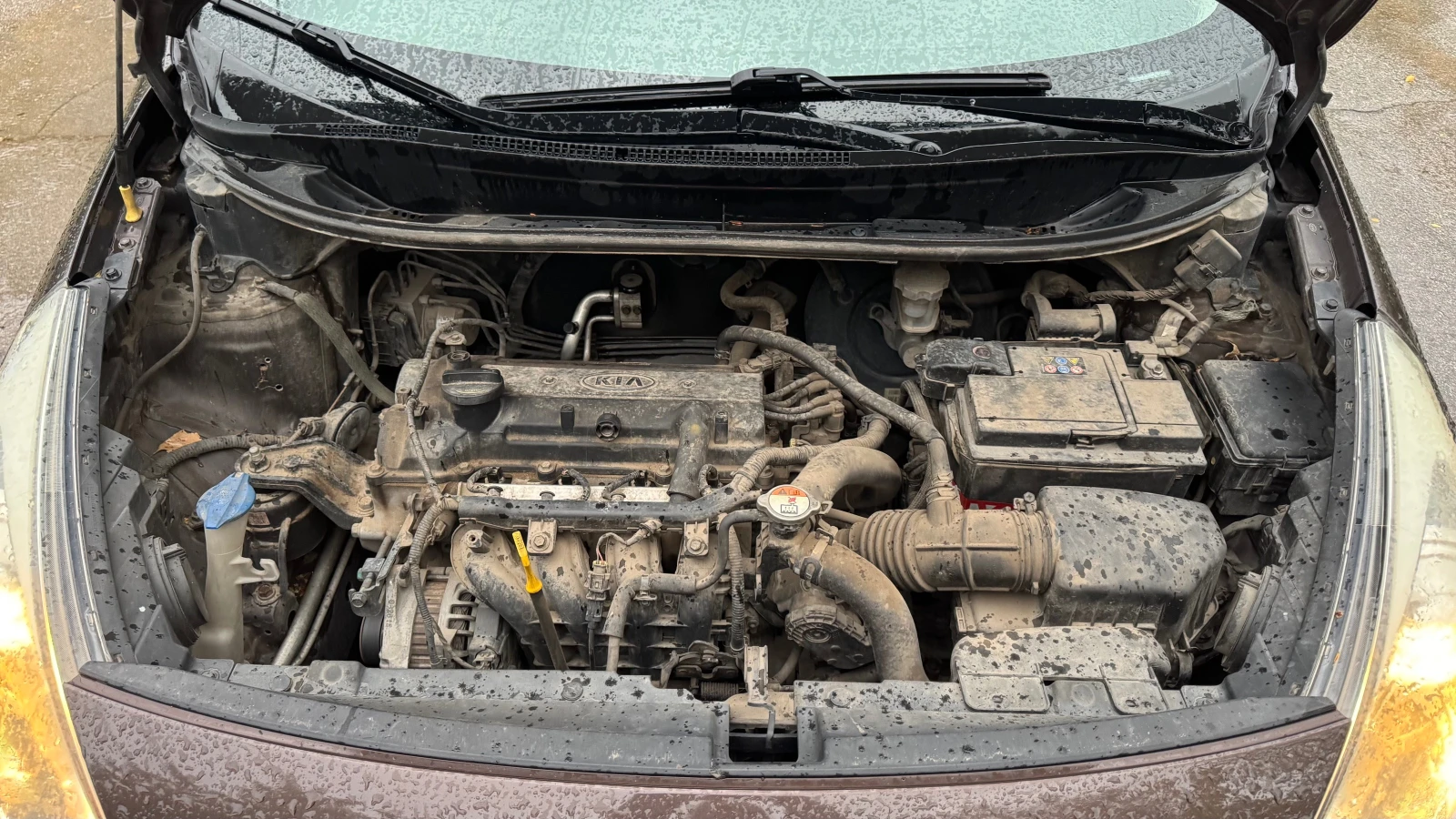 Kia Rio 1.2 бензин, снимка 11 - Автомобили и джипове - 56662799