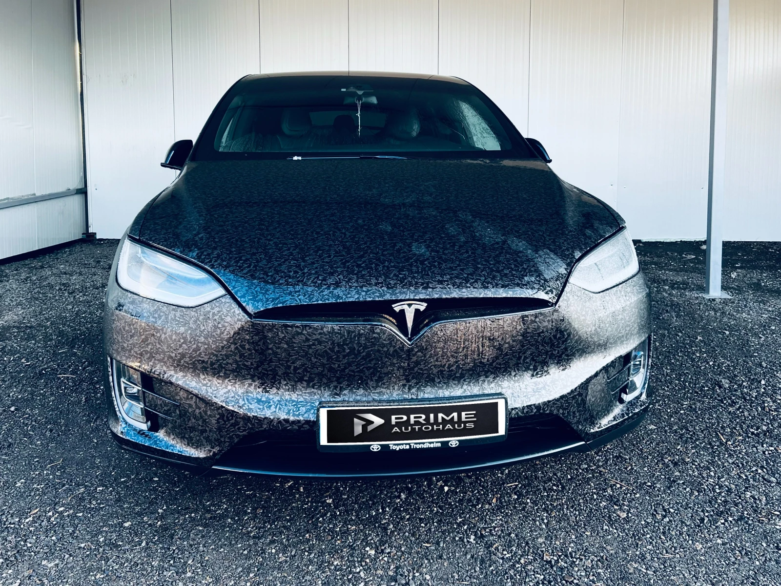 Tesla Model X 90D - изображение 2