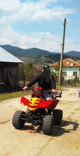 Bashan BS, снимка 3