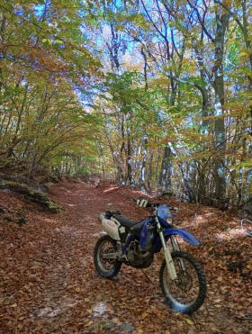 Yamaha Wr, снимка 3