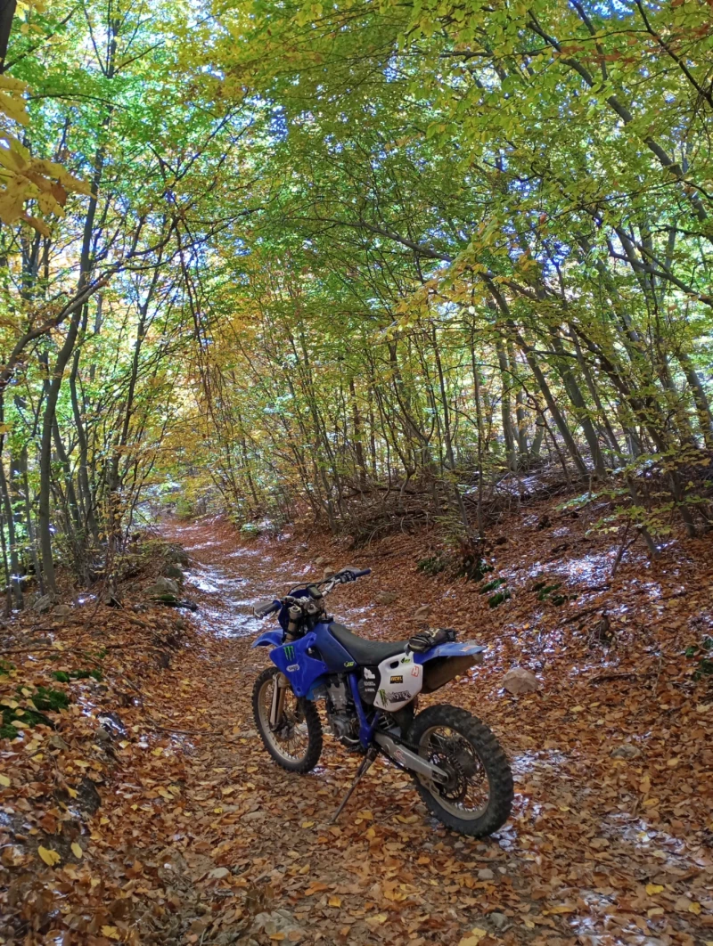 Yamaha Wr, снимка 4 - Мотоциклети и мототехника - 52694308