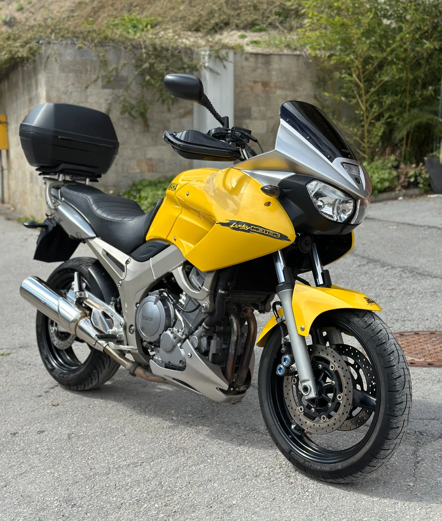 Yamaha Tdm 900i - изображение 6