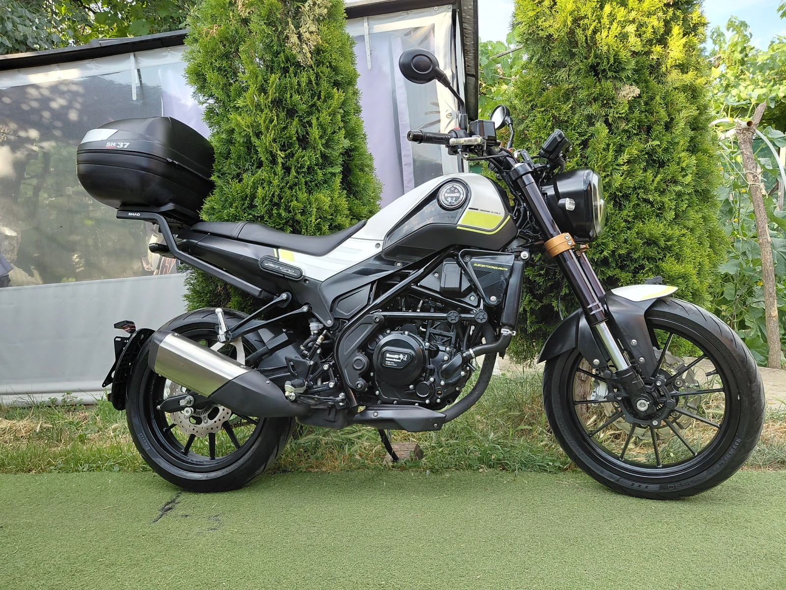 Benelli 250 Leonchino/Abs/led, снимка 4 - Мотоциклети и мототехника - 55055526