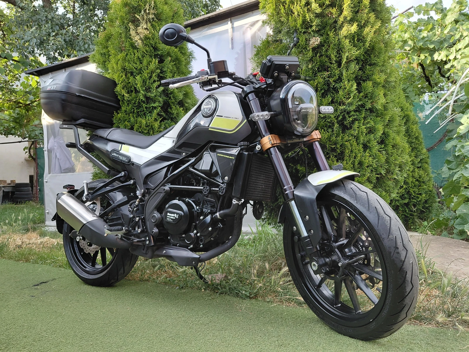 Benelli 250 Leonchino/Abs/led