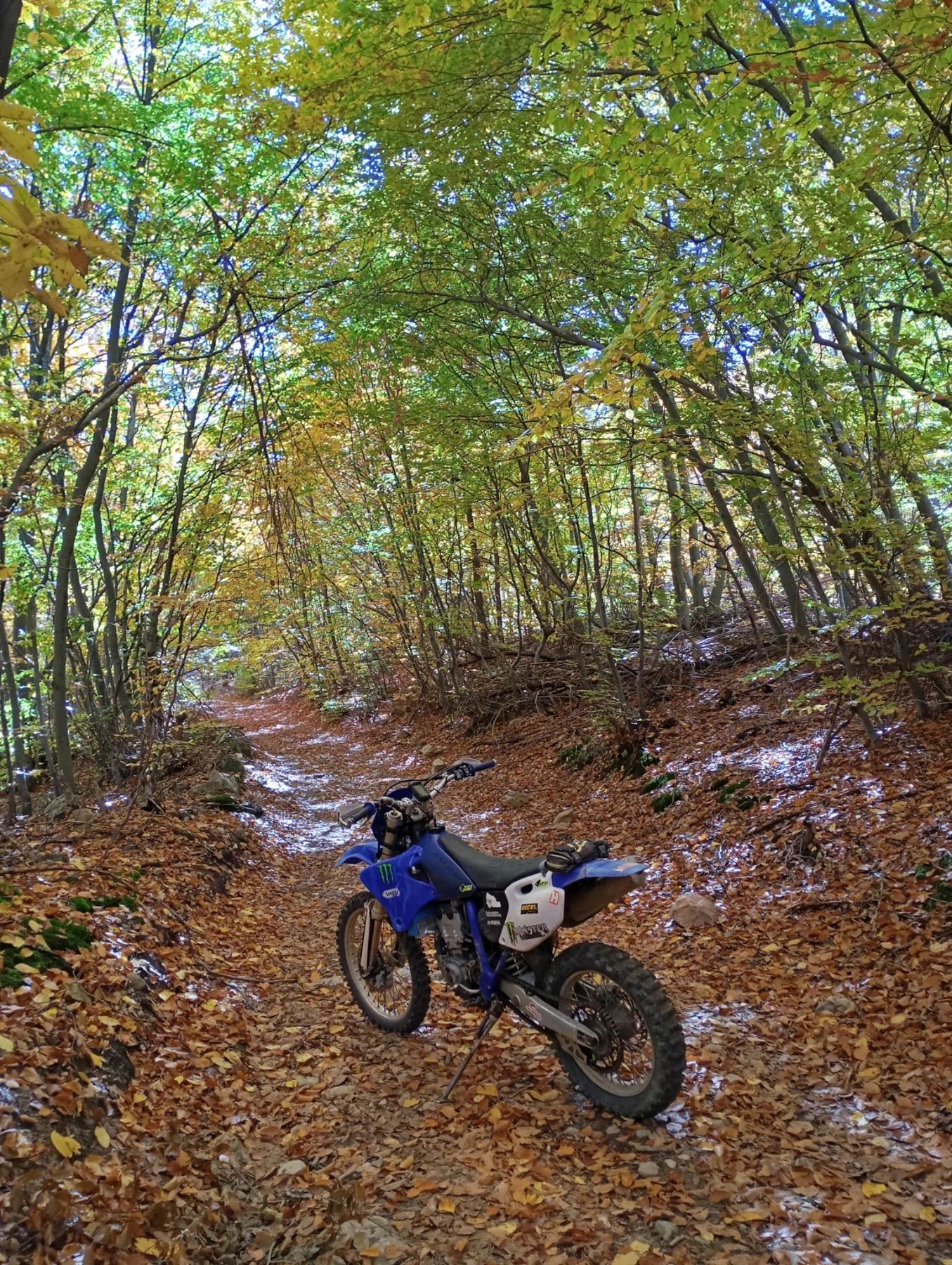 Yamaha Wr | Mobile.bg   4