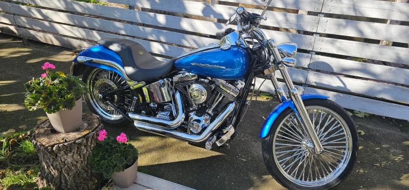 Harley-Davidson Softail