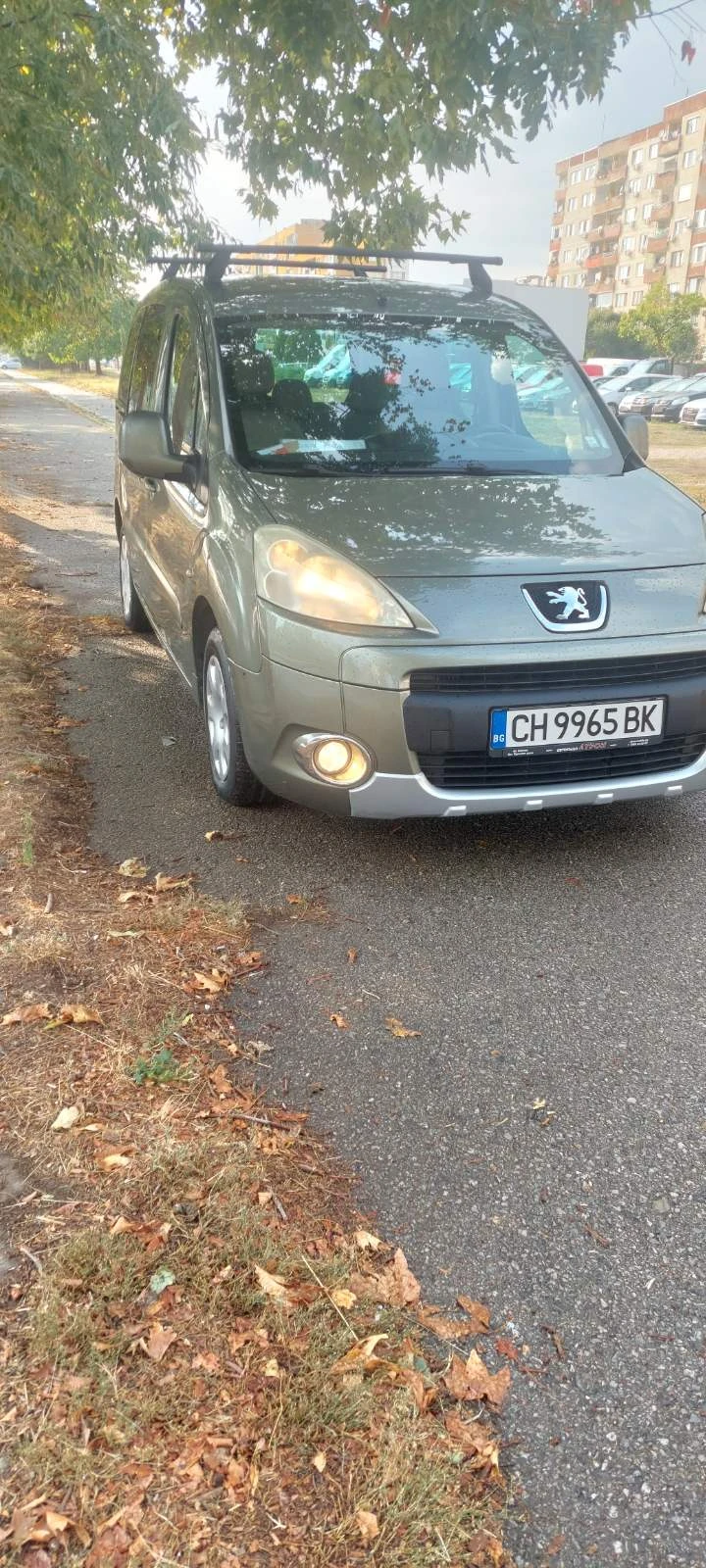 Peugeot Partner 1.6  HDI клима - изображение 2