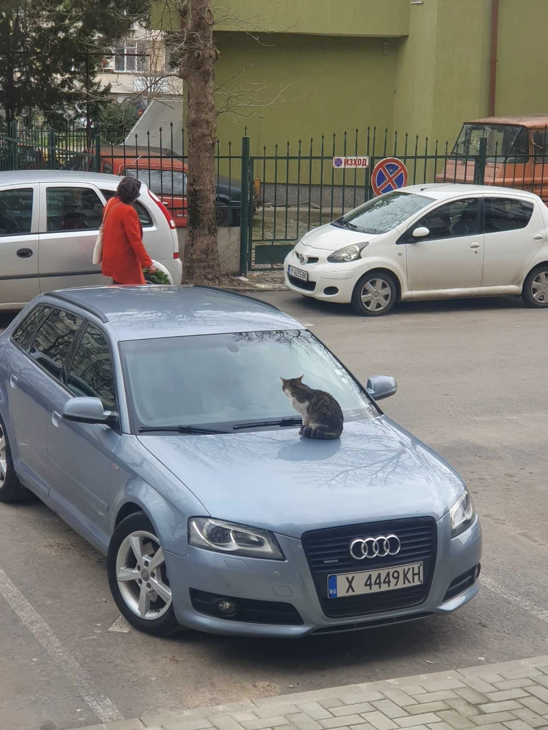 Audi A3 Sline QUATTRO кожа надуване подреви и др, снимка 11 - Автомобили и джипове - 53568114