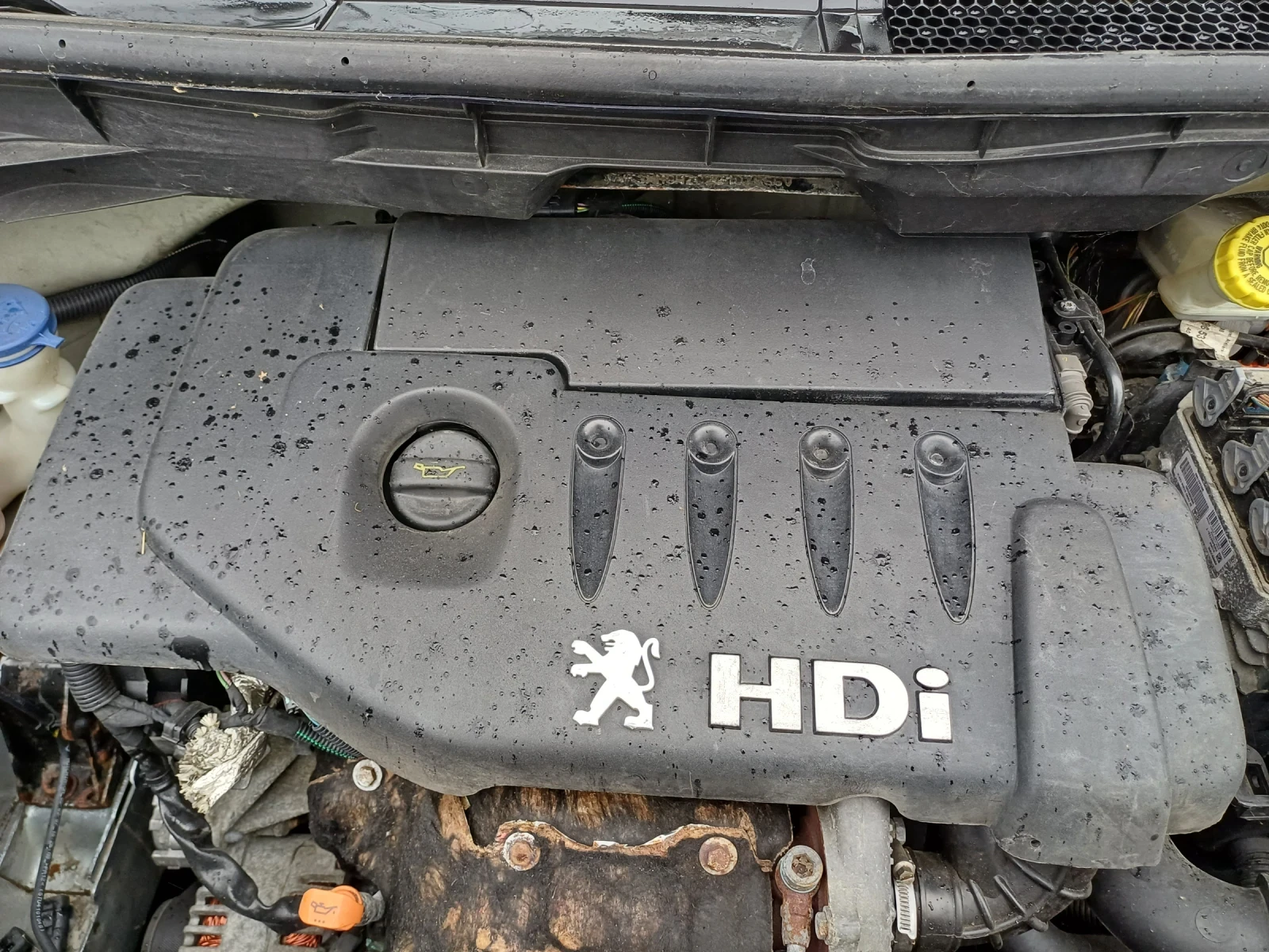 Peugeot 1007 1.4HDI, 68k.c. | Mobile.bg � ����������� 15