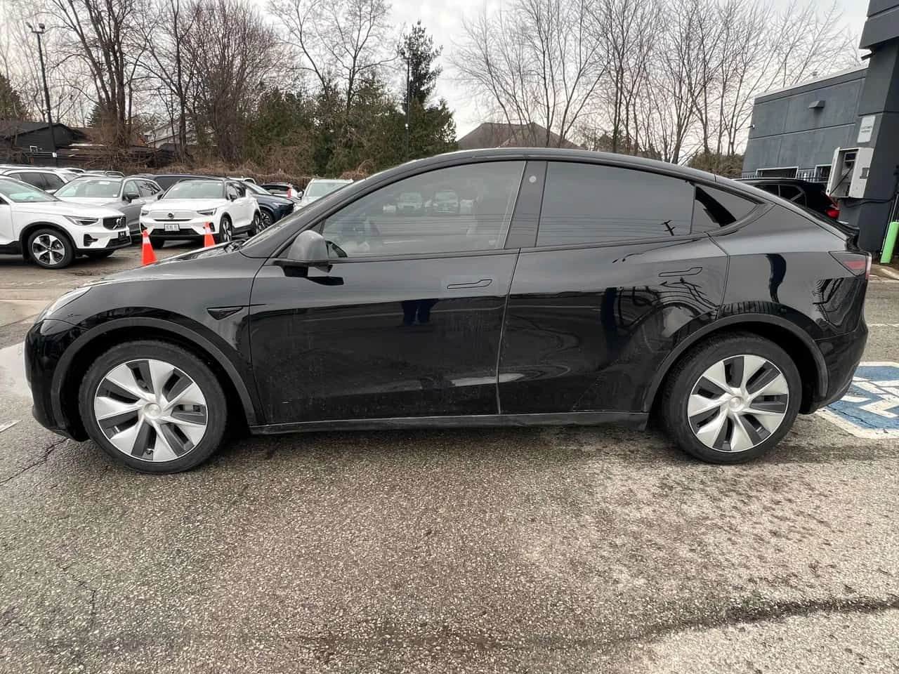Tesla Model Y Long Range/CARFAX/ПАНОРАМА, снимка 3 - Автомобили и джипове - 54027679
