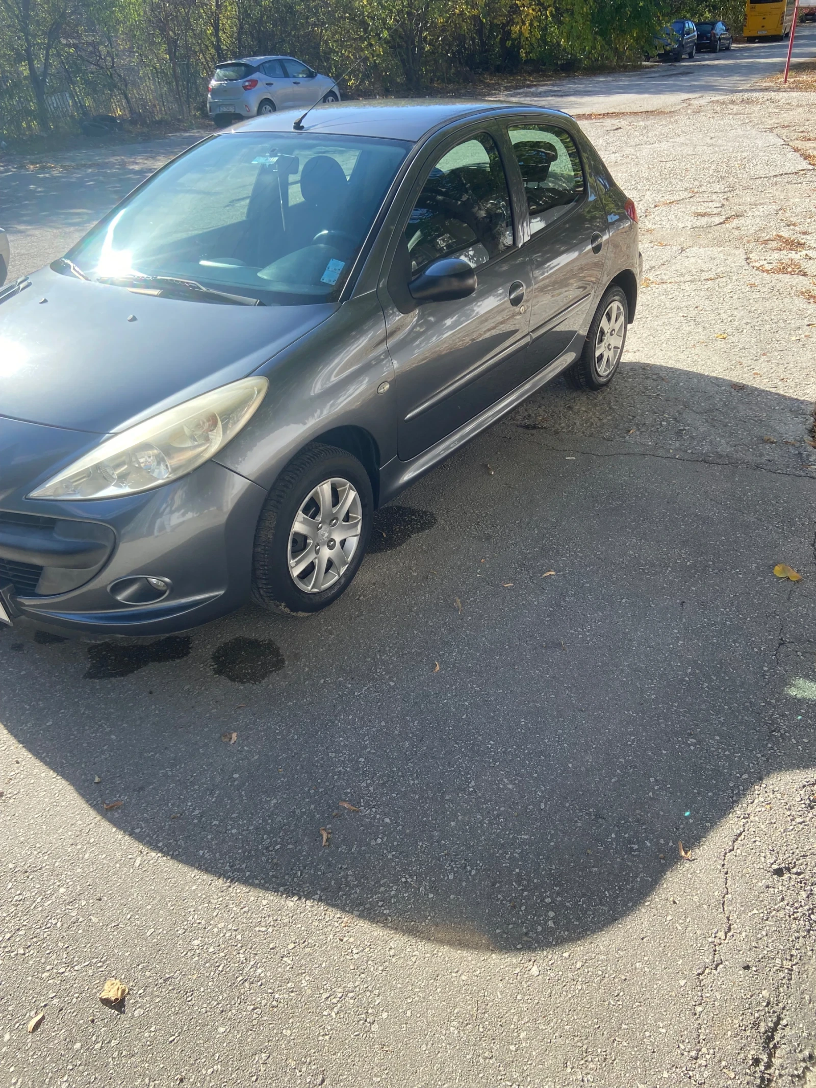 Peugeot 206 206+  - изображение 2