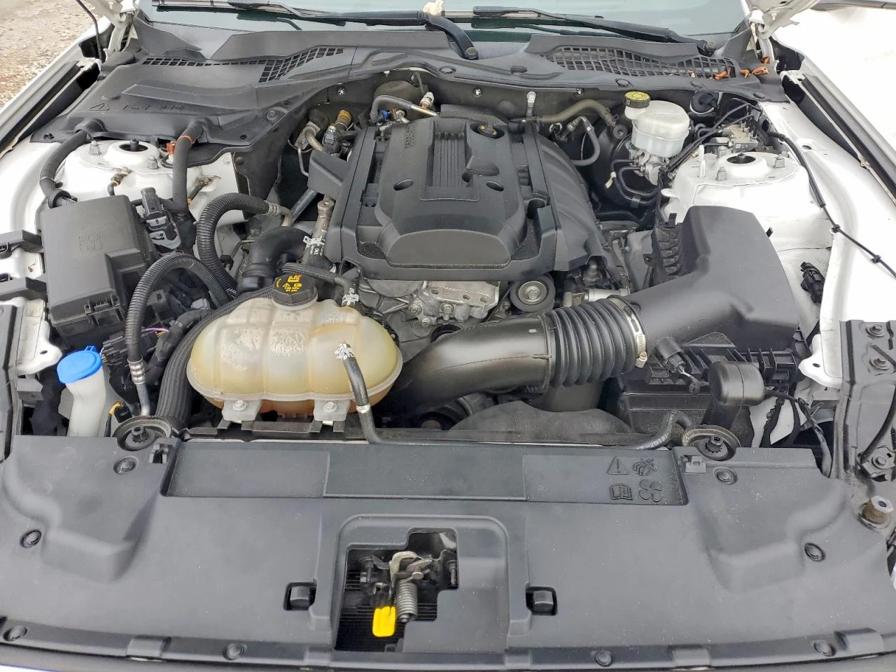 Ford Mustang 2.3l, снимка 11 - Автомобили и джипове - 55243534