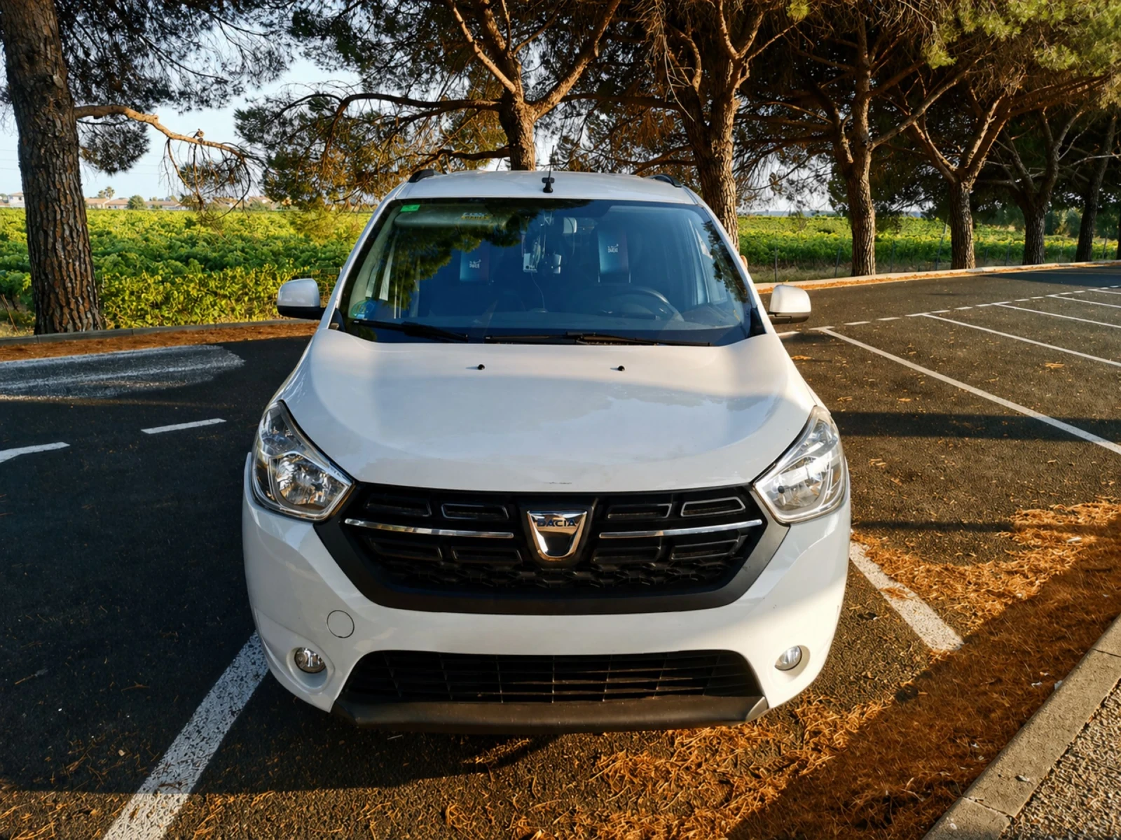 Dacia Lodgy 1.6 lpg 7 места