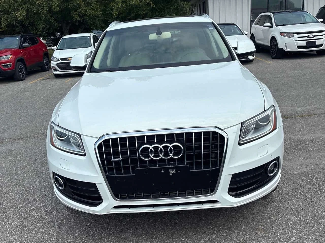 Audi Q5 2.0T Progressiv / CARFAX / ����������  | Mobile.bg � ����������� 2