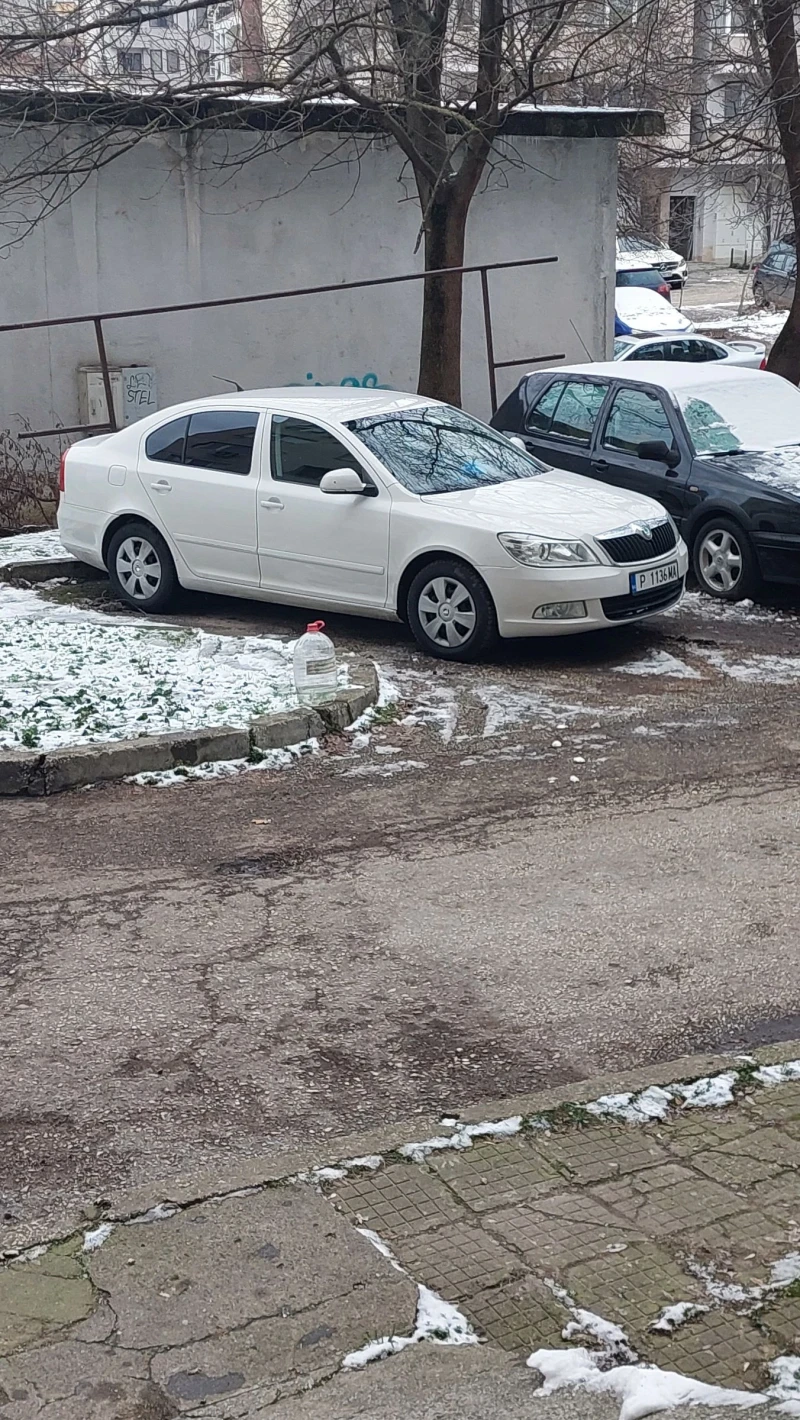 Skoda Octavia, снимка 9 - Автомобили и джипове - 53115775
