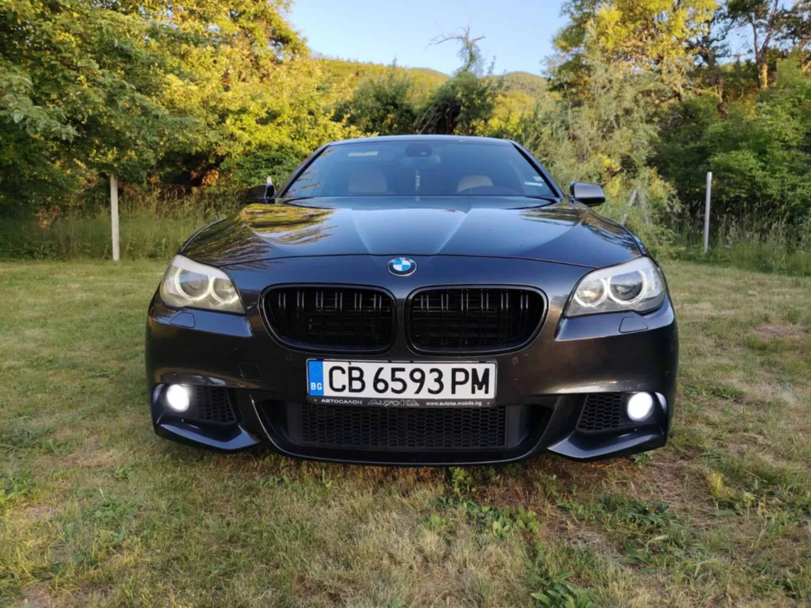 BMW 550 I M Pack - изображение 3