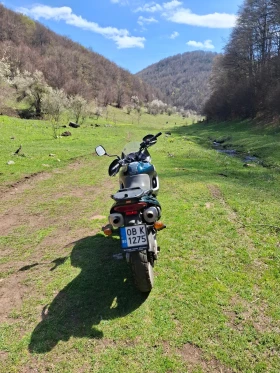 Aprilia Pegaso 650, снимка 7