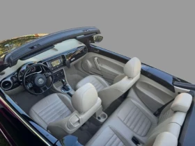 VW Beetle, снимка 8