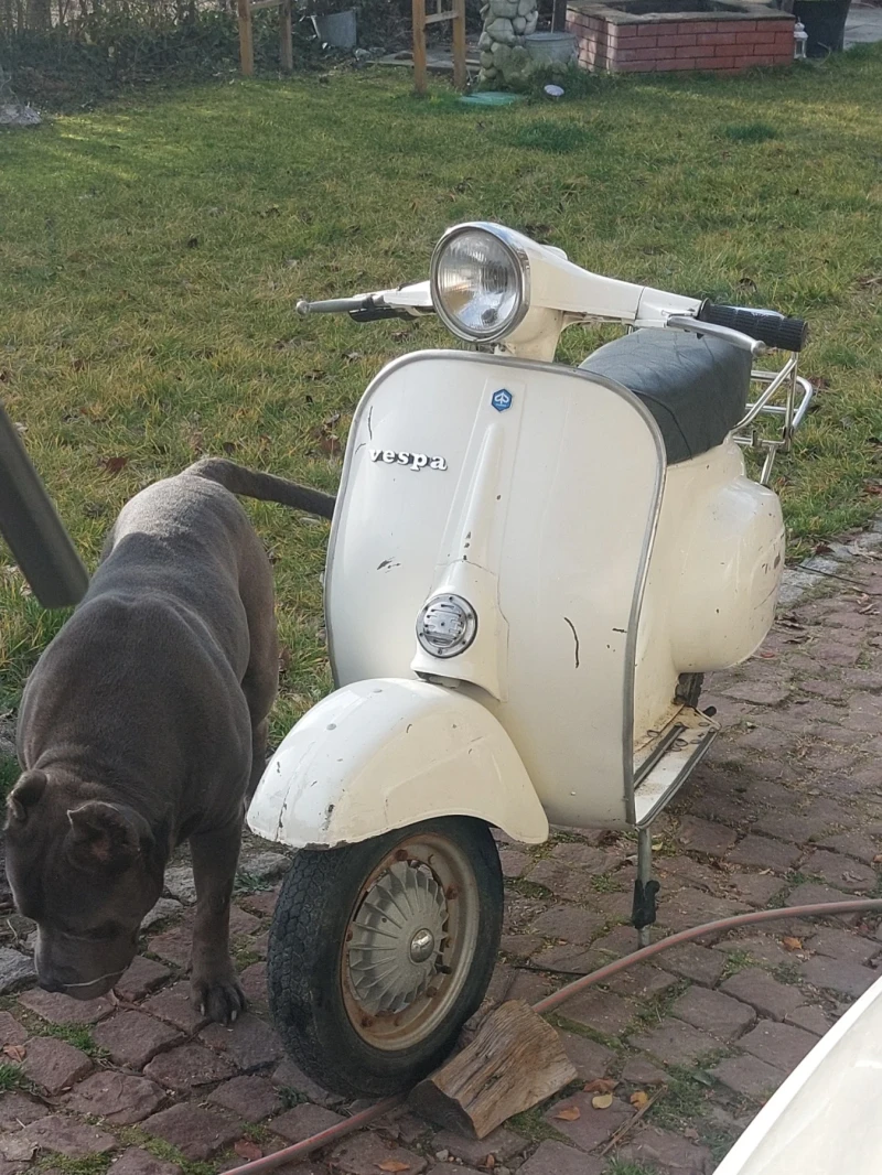 Vespa 50