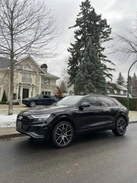 Audi Q8 Progressiv  CARFAX